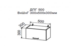 Шкаф верхний ДПГ500 горизонтальный в Краснотурьинске - krasnoturinsk.magazin-mebel74.ru | фото