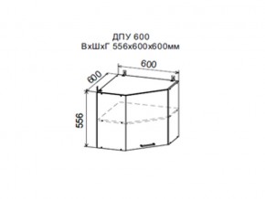 Шкаф верхний ДПУ600 угловой в Краснотурьинске - krasnoturinsk.magazin-mebel74.ru | фото